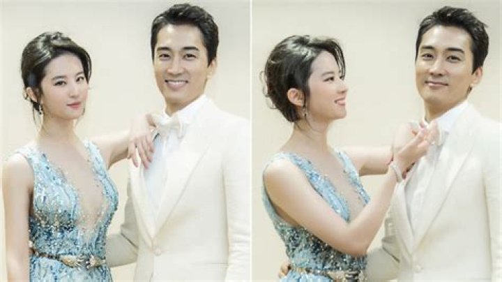 Unraveling the Life of Song Seung-Heon’s Wife: A Journey of Love and Stardom