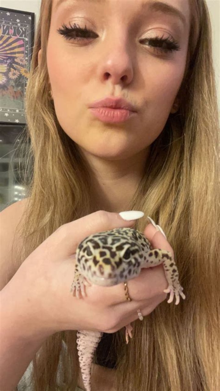 Sophie Rain Ed: A Comprehensive Insight into the Rising Star