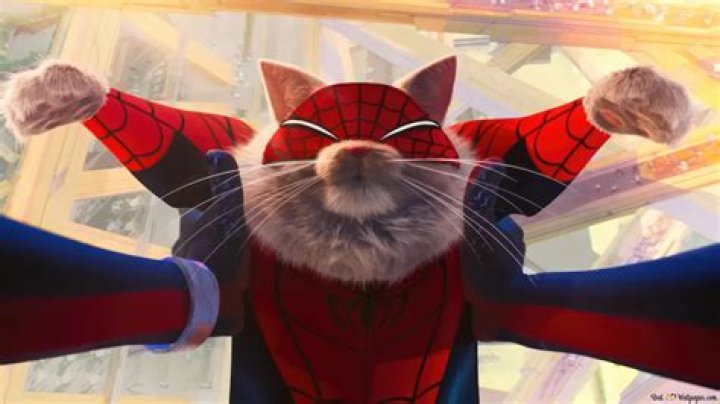 The Marvelous World of the Spiderman Cat: A Unique Feline Phenomenon