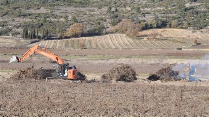 Unmasking the Talent: The Story of Spiderman Sophie Rain