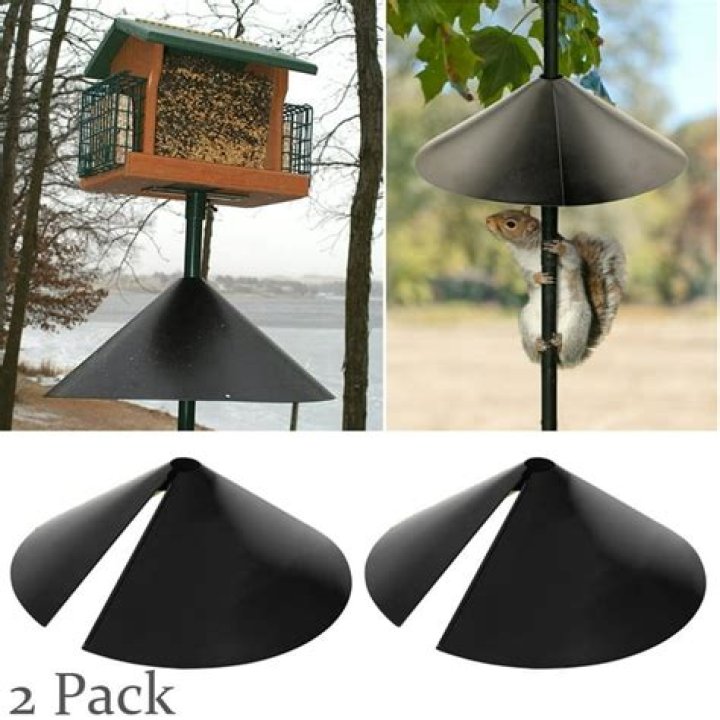 Squirrel Baffle Bird Feeder: The Ultimate Solution for Bird Lovers