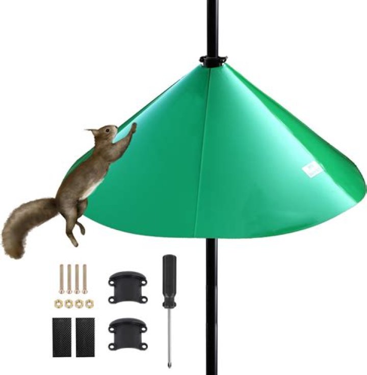 The Ultimate Guide to Squirrel Baffle for Bird Feeder