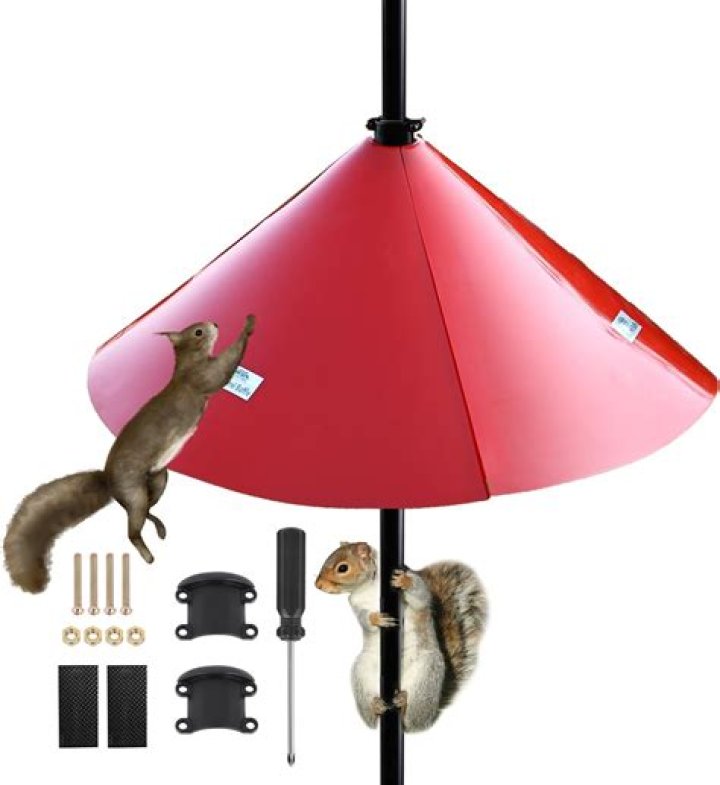 Squirrel Baffle: The Ultimate Guide to Protecting Your Bird Feeder