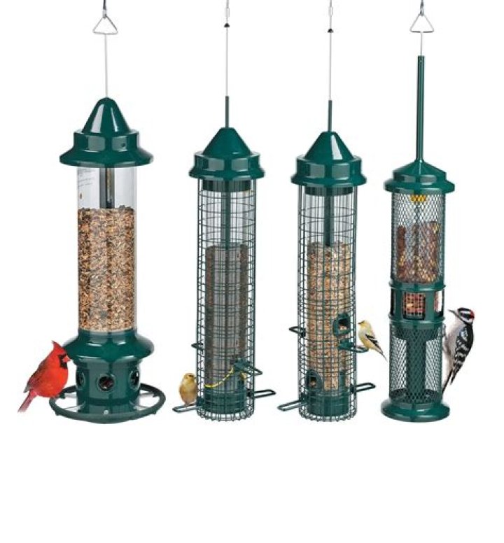 Squirrel Buster Bird Feeders: The Ultimate Guide for Bird Enthusiasts