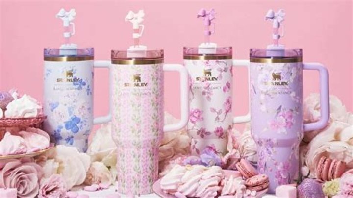 Stanley x LoveShackFancy: The Perfect Blend of Functionality and Feminine Charm