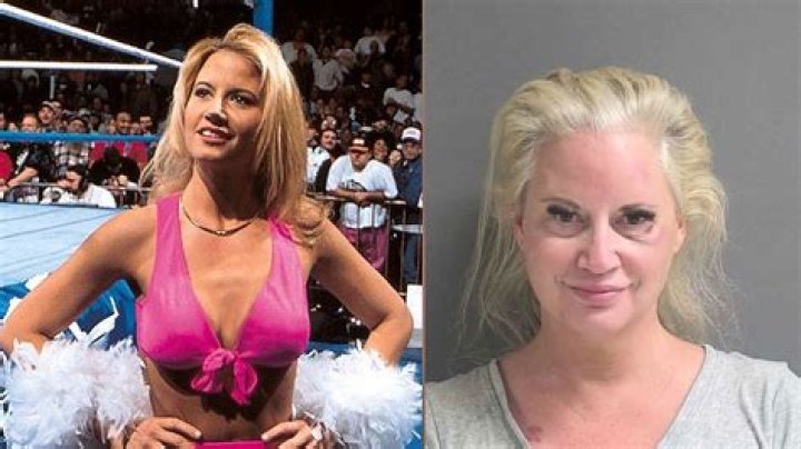 Sunny WWE: The Rise of a Wrestling Star