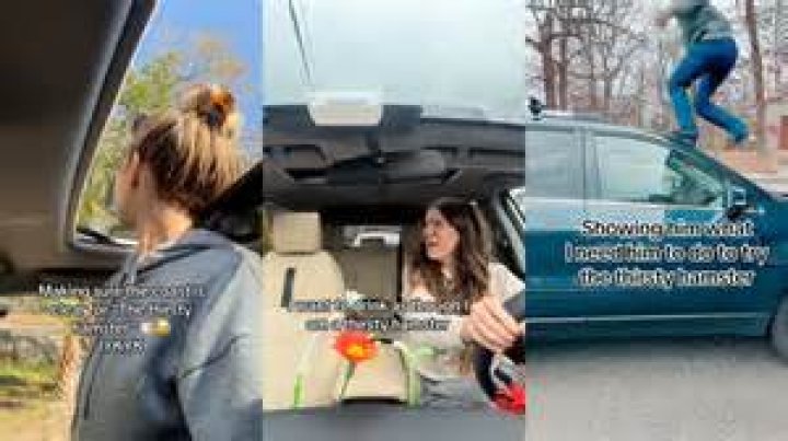 Sunroof and Hamster: A Unique Bond Between Pets and Cars