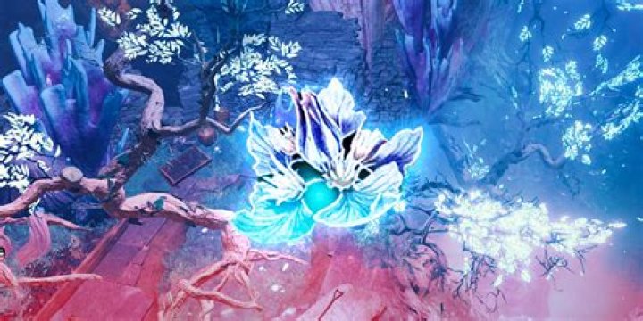 Sussur Bloom: Exploring the Fascinating World of Nature's Hidden Beauty