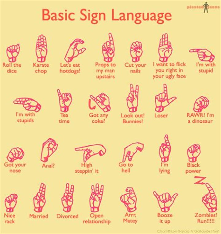 Swear Words in Sign Language: Understanding and Respecting the Art of Communication