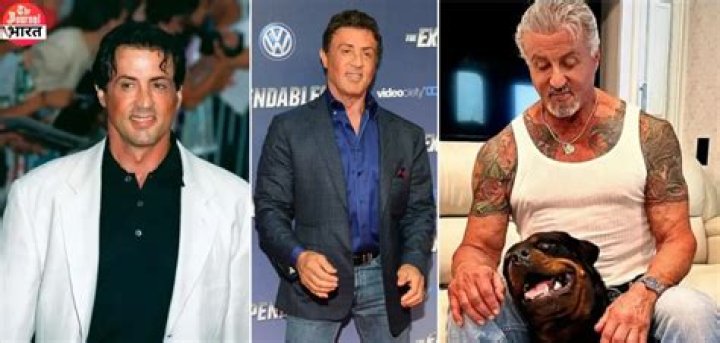 Sylvester Stallone Net Worth: A Comprehensive Overview