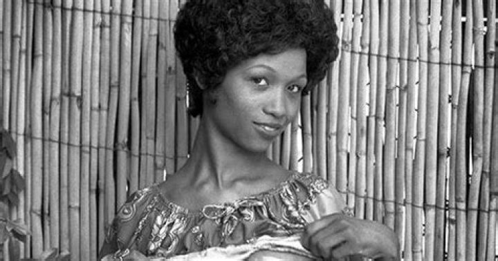 Sylvia McFarland: A Cinematic Journey through Her Movies