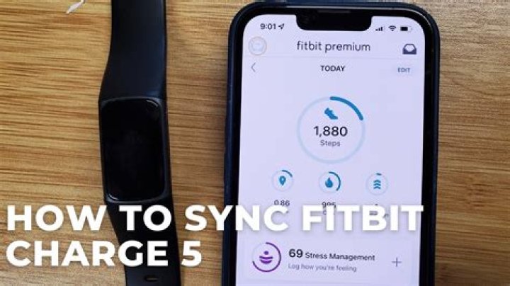Mastering the Connection: Sync Fitbit to VeSync for Ultimate Fitness Management