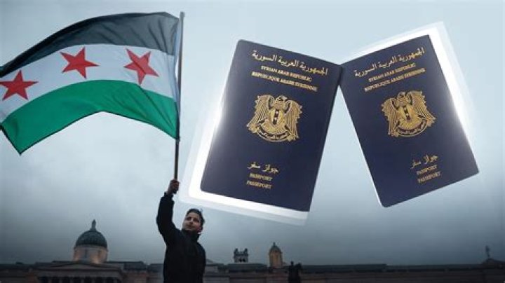 Navigating ETIAS: A Syrian with a German Passport's Guide to Apply