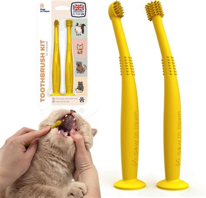 Revolutionizing Cat Dental Care: The Taurus Training Toothbrush for Cats