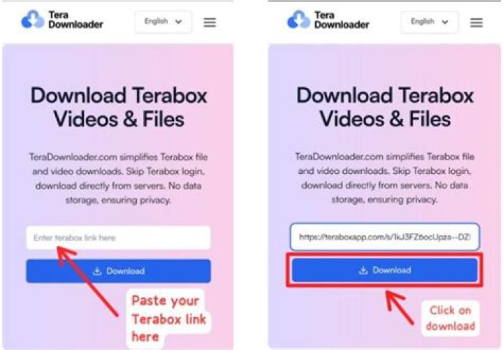 Unlocking the World of TeraBox Video: Your Ultimate Guide