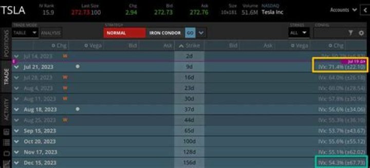 Tesla's Implied Volatility: A Comprehensive Analysis