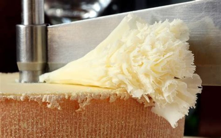 Tete de Moine Cheese: The Swiss Delicacy You Must Try