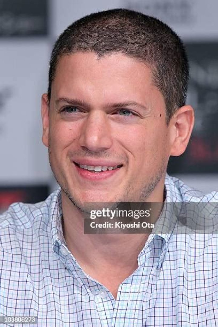 The Actor Wentworth Miller: A Deep Dive into His Life and Career