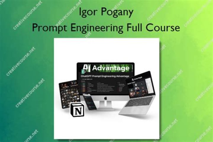 The AI Advantage: Igor