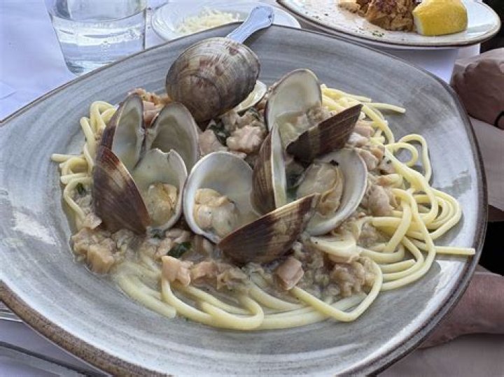 The Beach House: A Perfect Escape to Paradise