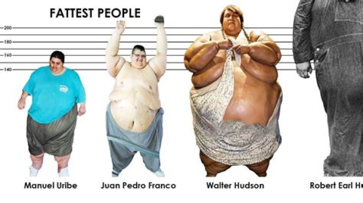 The Fattest Person in the World: An In-depth Analysis