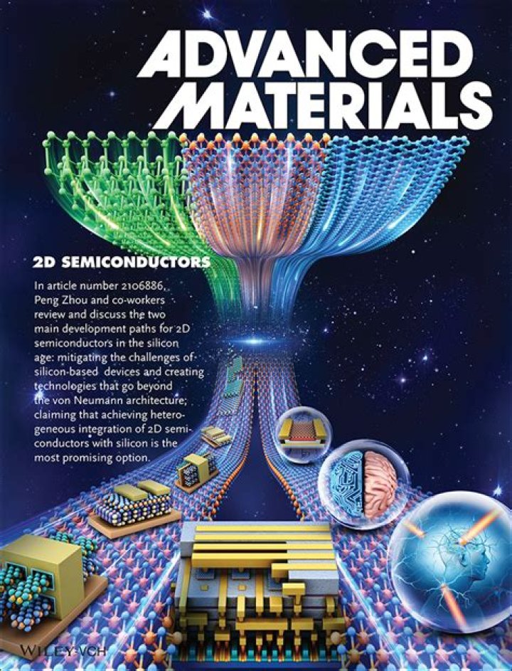 The Future of Two Dimensional Semiconductors Beyond Moore's Law