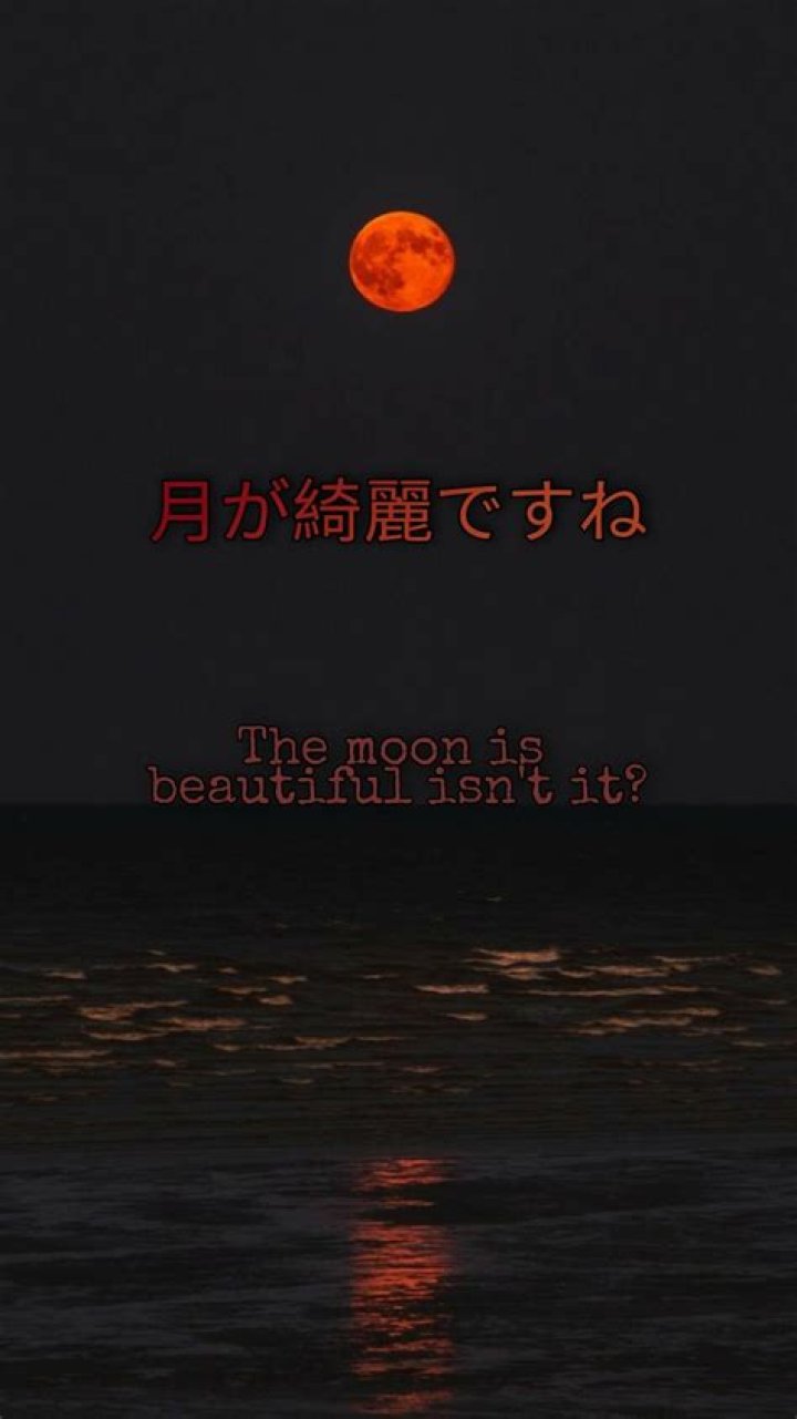 The Moon is Beautiful, Isn't It? Exploring the Beauty and Significance of the Moon
