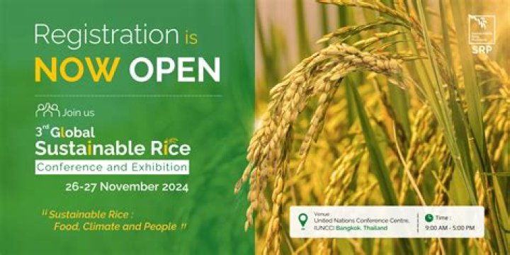 The Rice Team: Unveiling the Powerhouse Behind Sustainable Rice Production