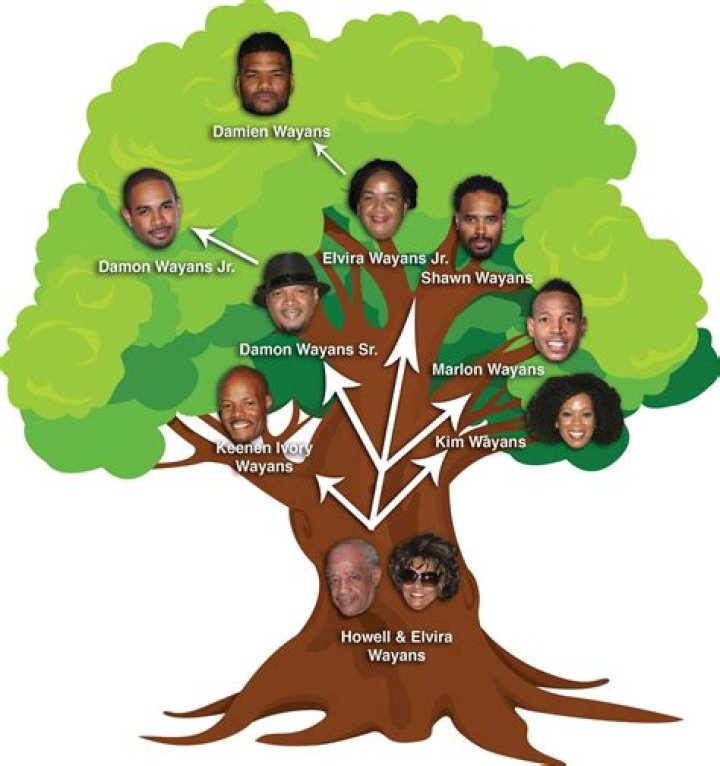 The Intriguing Wayans Family Tree: A Legacy of Laughter