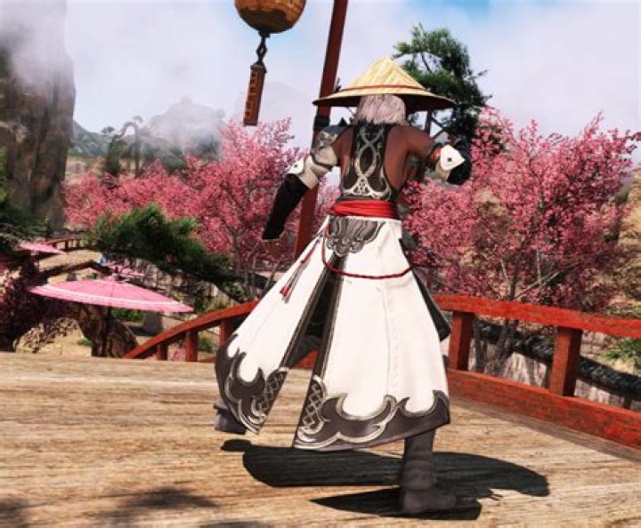 Theme Monk: Revolutionizing WordPress Themes for Your Website