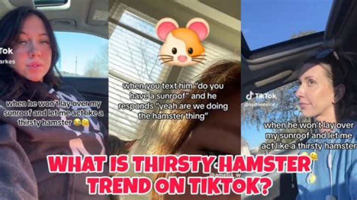 Understanding the Thirsty Hamster Sunroof: A Comprehensive Guide