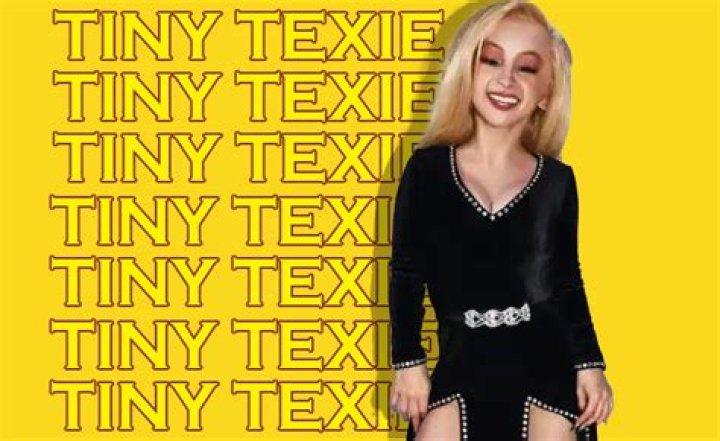 Tiny Texy: The Ultimate Guide to Understanding and Utilizing This Unique Font