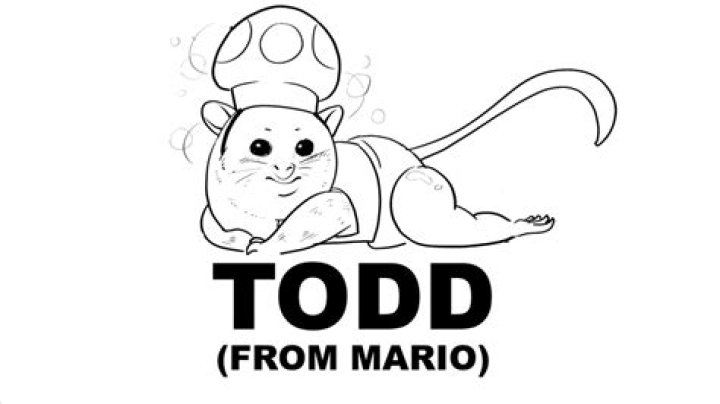 Todd from Mario: The Beloved Character in the Mushroom Kingdom