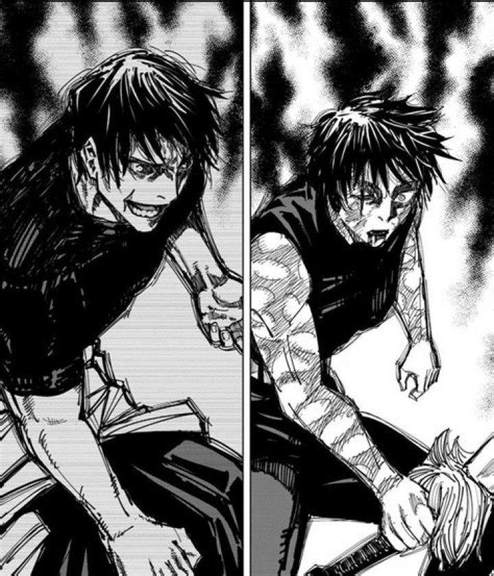 Exploring the Dynamic Duo: Toji and Maki in Jujutsu Kaisen