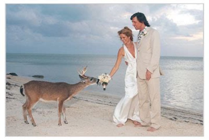 Tom Scholz's Former Spouse: Uncovering the Mystery of His First Marriage
