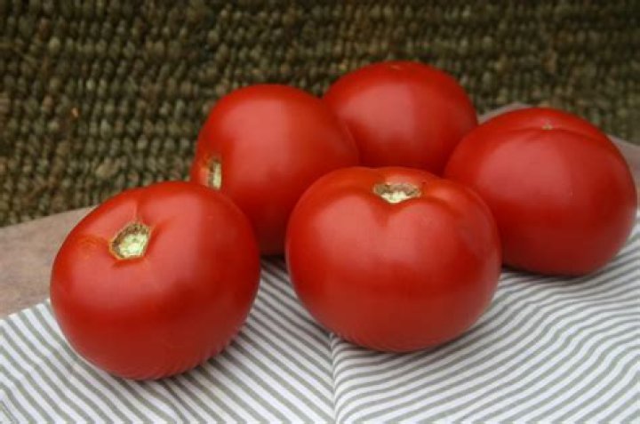 Top Tomato: The Ultimate Guide to the Best Tomato Varieties and Uses
