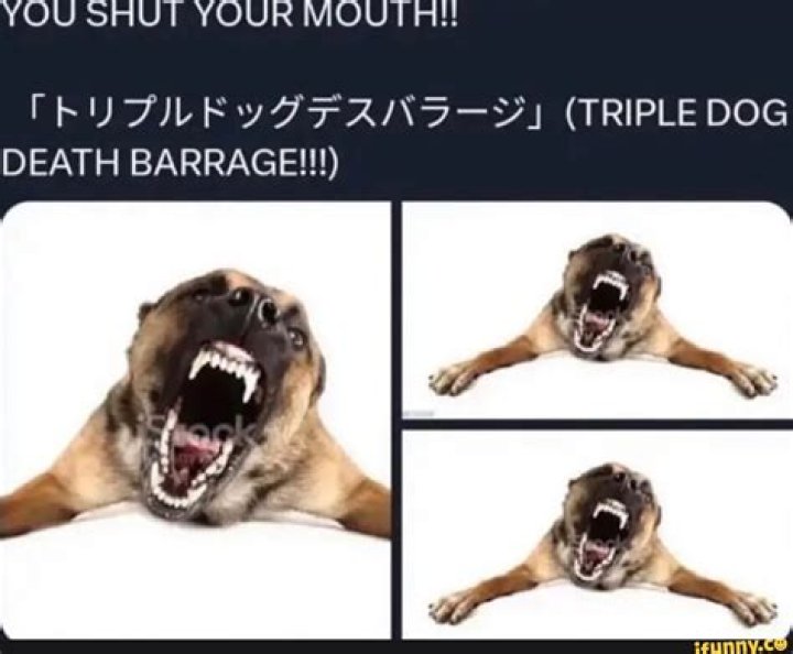 Understanding the Triple Dog Death Barrage: An In-Depth Analysis