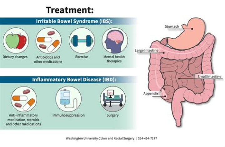 Understanding Pritchard Colon: Symptoms, Diagnosis, and Treatment