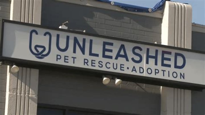 Unleashed Pet Rescue in Mission Kansas: A Lifeline for Animals in Need