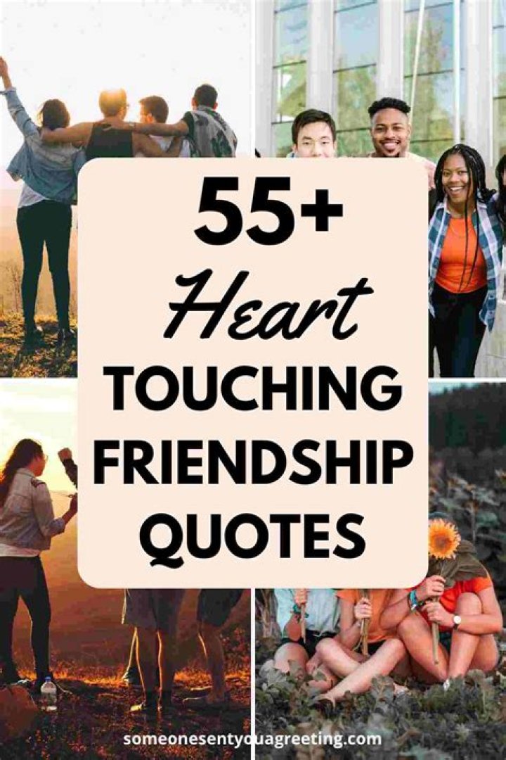 Unveiling the Essence of True Friendship Quotes That Touch the Heart
