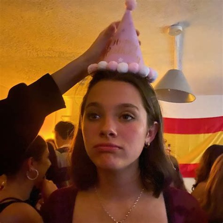 Unveiling the Life and Achievements of Huei Hann Pan Son