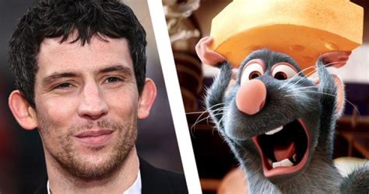 Unveiling the Magic of Ratatouille: Adam Scott's Character &ndash; A Deep Dive