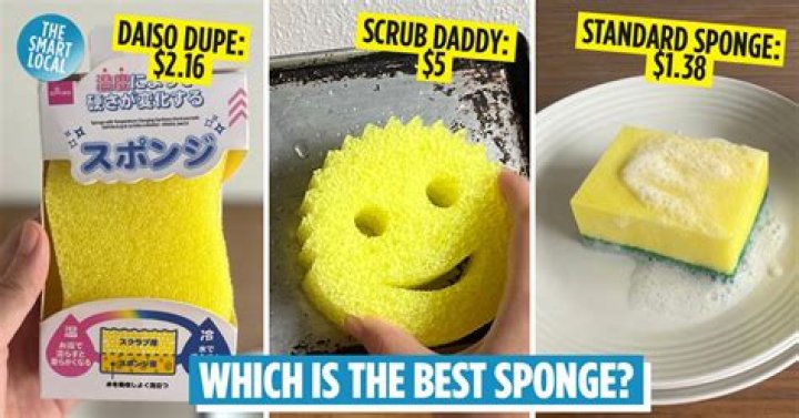 Unveiling the Value: How Much Is Scrub Daddy Company Worth?