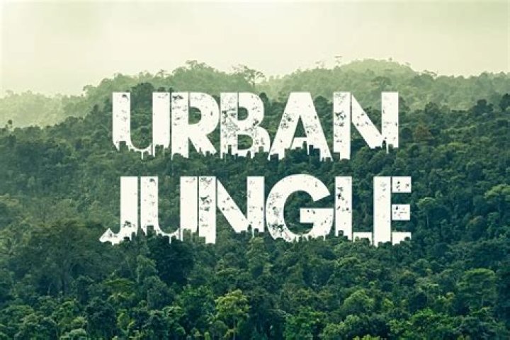 Exploring the Urban Jungle: A Guide to Nature in the City