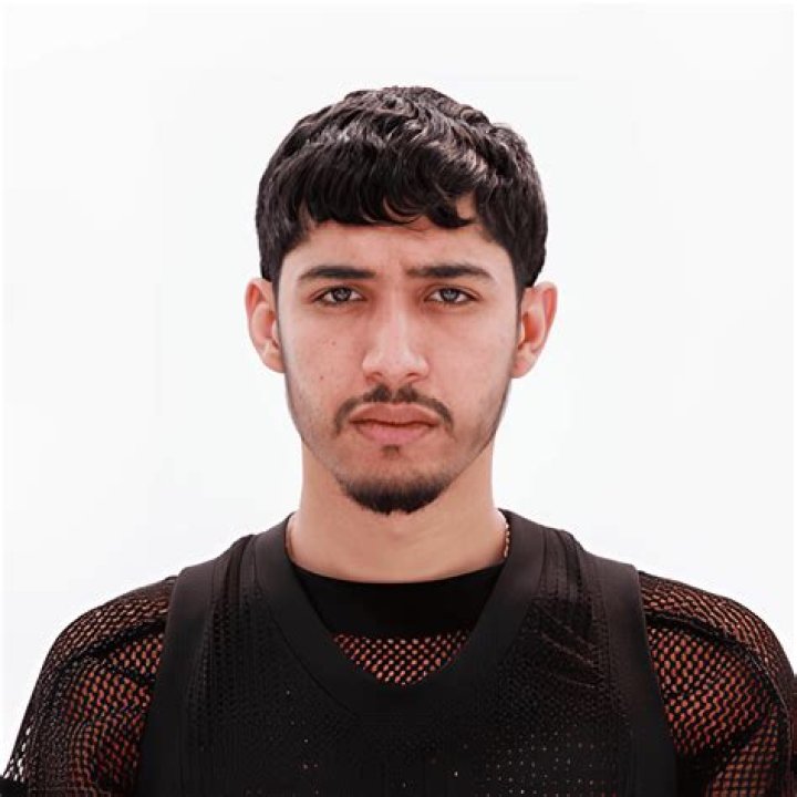 Discovering the Wonders of Vega.in 4K: A Visual Odyssey