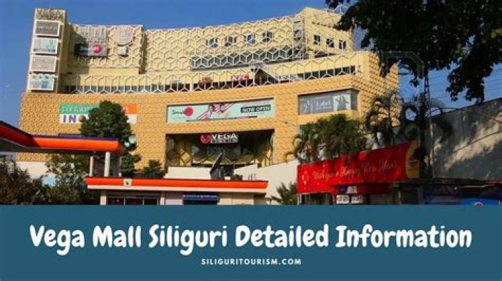 Exploring the Vibrant World of Vega S Hub