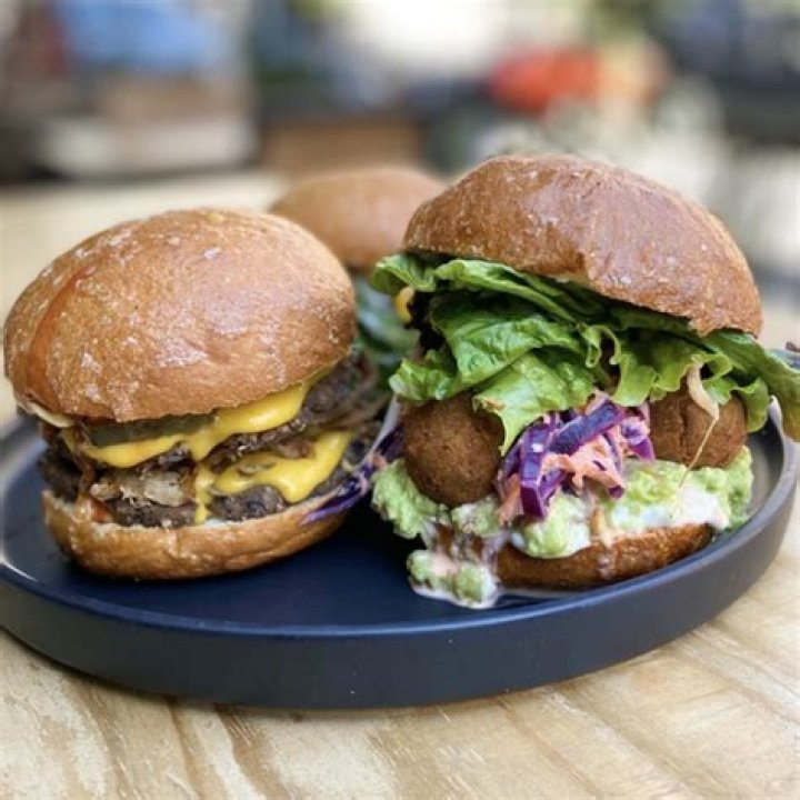 Vegamo IES: Revolutionizing the Future of Vegan Protein