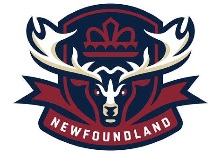 Discovering the World of Vegamove NL: A Comprehensive Guide