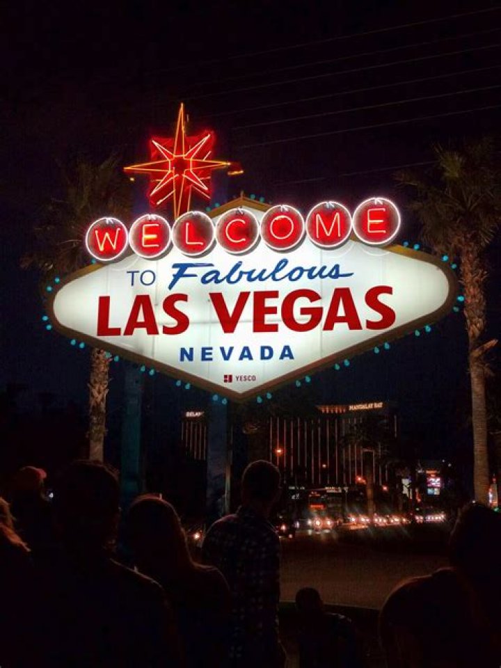 Exploring the Vibrant World of Vegas NL