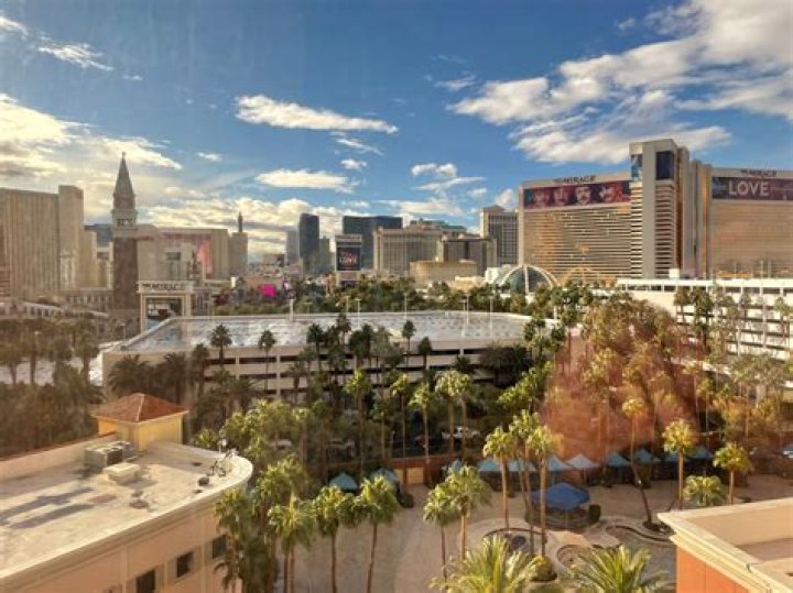 Exploring the Allure of Vegas NL Hollywood